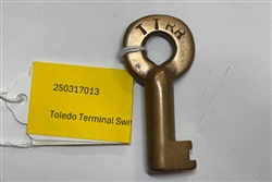 Toledo Terminal Switch Key