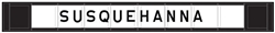 Atlas 70000036 HO Decorated Plate Girder Bridge w/Code 100 Track Kit New York Susquehanna & Western