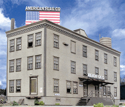 B.T.S. 28108 HO American Flag Company Kit