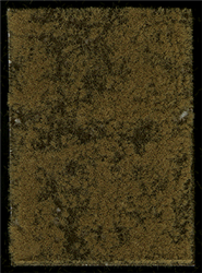 Busch 1305 HO Thinning Grass Pad 11-11/16 x 8-1/4"29.7 x 21cm Late Summer/Early Autumn Grass