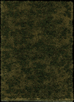 Busch 1308 HO Thinning Grass Pad 11-11/16 x 8-1/4" Edge Of Forest Grass
