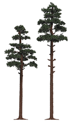 Busch 6144 HO Pine Trees 6-7/8 & 8-1/4"pkg(2)