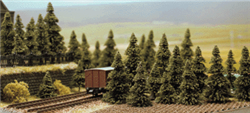 Busch 6572 N Pine Trees 1-3/16 to 2-3/8" 3 to 6cm pkg(60)