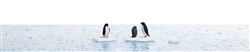 Busch 7923 HO Penguins on Ice Flows Complete Miniature Scene 3 Penguins 3 Icebergs & Water Sheet