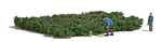Busch 7956 HO Picking Forest Blueberries Action Set 2 Figures, 8 x 7cm Blueberry Patch, Collection Baskets