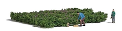 Busch 7956 HO Picking Forest Blueberries Action Set 2 Figures, 8 x 7cm Blueberry Patch, Collection Baskets