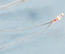 Cir-Kit Concepts 101015 1.5V Micro Bulbs w/ Wire Terminals