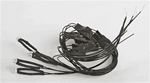 Evans Design U17FF Light Universal Flashing LED 5/64" 7-19v AC DC 5 Pack Fast Flashing Red