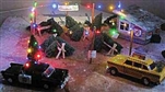 Evans Design UMS12 Multicolor LED Chip Light String 12 Lights 12-19V DC or AC