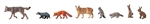 Faller 151915 HO Forest Animals pkg 8