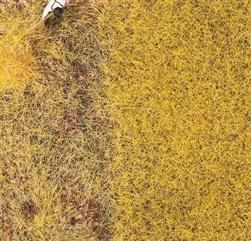 Faller 170776 Ground Cover/Flocking Premium Straw 1oz