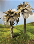 Grand Central Gems T25 Mexican Palm Tree 5-6" pkg(2)