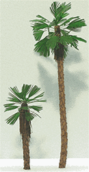 Grand Central Gems T26 Fan Palm Tree 2-3" Pkg 3 