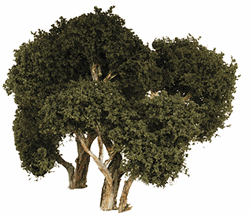 Grand Central Gems T30 Hardwood Tree 6" Pkg 3