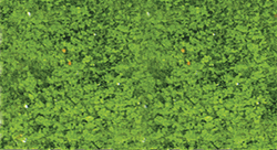 Heki 1554 Foliage Pad 11 x 5-1/2" Spring Green