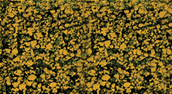 Heki 1557 Foliage Pad 11 x 5-1/2" Fall Amber