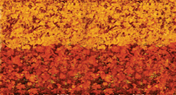 Heki 1558 Foliage Pad 11 x 5-1/2" Autumn Glory