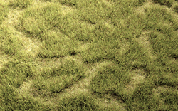 Heki 1841 Tuftgrass Pad 17-1/2 x 6-1/2" Spring