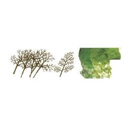 JTT 92019 N Sycamore 1.5-3" 30Pk