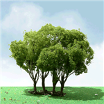 JTT 92203 N Privet Trees Pro Elite 1-3/4 to 2" Pkg 2
