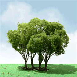 JTT 92203 N Privet Trees Pro Elite 1-3/4 to 2" Pkg 2