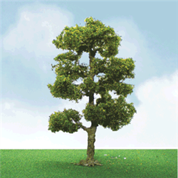 JTT 92206 N Downy Birch Trees Pro Elite 2 to 2-1/4" Pkg 3