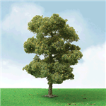 JTT 92207 N European Plane Trees Pro Elite 2 to 2-1/4" Pkg 3