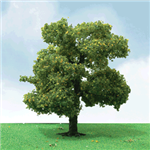 JTT 92210 N Sycamore Trees Pro Elite 2 Pkg 3