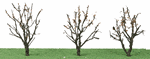JTT 92221 N Tree w/Dry Foliage Late Fall 2 2-1/4" Pkg 3