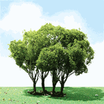 JTT 92303 HO Pro-Elite Series Tree Privet 3 to 3-1/2" Tall Pkg 1