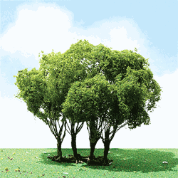 JTT 92303 HO Pro-Elite Series Tree Privet 3 to 3-1/2" Tall Pkg 1
