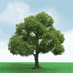 JTT 92304 HO Pro-Elite Series Tree Elder 3 to 3-1/2" Tall Pkg 2