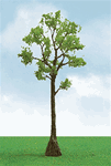 JTT 92316 HO Pro-Elite Series Tree Cypress 5 to 5-1/2" Tall Pkg 2