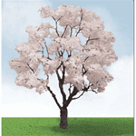 JTT 92321 HO Blossoming Cherry Trees 3 to 3-1/2" Pkg 2 