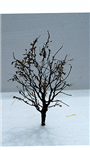 JTT 92322 O Tree w/Dry Foliage Late Fall 3 to 4" pkg 2