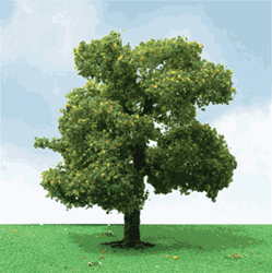 JTT 92410 O Sycamore Trees Pro Elite 8" 