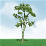 JTT 92411 O Gum Trees Pro Elite 8"