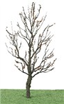 JTT 92419 O Tree w/Dry Foliage Late Fall 6"            
