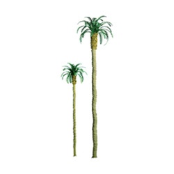 JTT 94240 HO Professional Series Palm Trees 6" Tall Pkg 2 