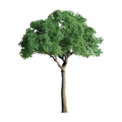 JTT 94273 Jacaranda 2" Professional 4 Pieces