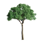 JTT 94285 Green Jacaranda 1.5" 4 pk