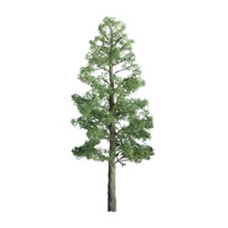 JTT 94293 HO Pine Trees Professional Series 3" Pkg 3