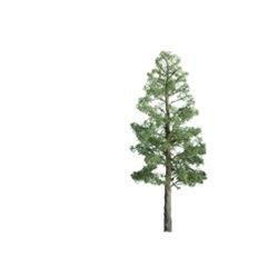 JTT 94294 HO Pine Trees Professional Series 4" Pkg 2