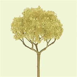 JTT 94321 Basswood Roundhead 2" 4 pk