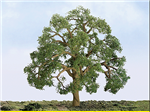JTT 94350 HO Professional Series Live Oak Trees 3" Tall pkg 2         