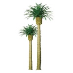 JTT 94353 N Professional Series Phoenix Palm Trees 2" Tall Pkg 4