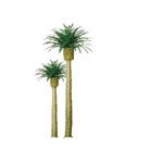 JTT 94354 HO Professional Series Phoenix Palm Trees 3" Tall Pkg 3