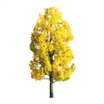 JTT 94369 Sycamore Early Fall 1"6Pk