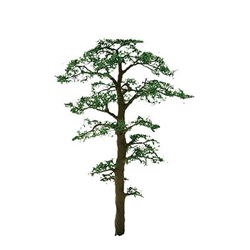 JTT 94432 Scots Pine 1" Pro 6 pk 