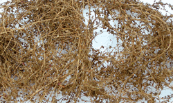 JTT 95063 HO Dry Vines Dead Foliage .35oz